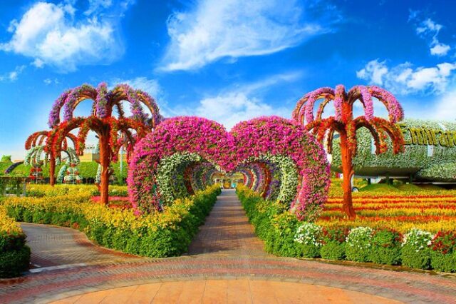 Dubai Miracle Garden and Global Village Shopping Tour